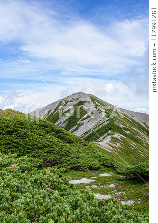 北阿爾卑斯山的風景、蓮華山 117991281