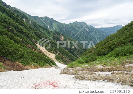 Scenery of the Northern Alps: Harinoki Snowfield 117991320