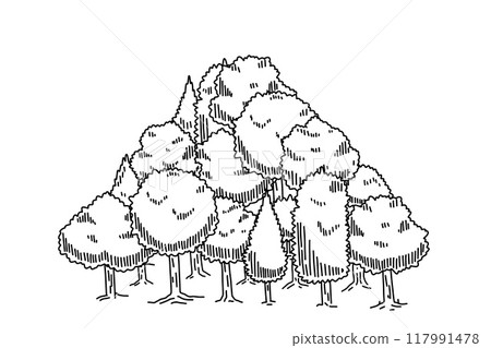 Forest sketch. Natural outline plant. Doodle drawn tree. Nature park or garden element. Drawing pine landscape Forest sketch. Natural outline plant. Doodle drawn tree. Nature park or garden element. Drawing pine landscape 117991478