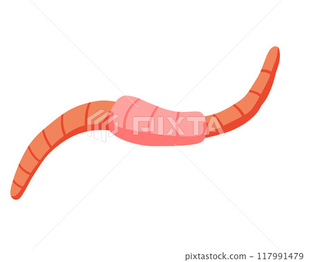 Worm bait. Cartoon earth creep. Cartoon insect animal. Invertebrate bug. Slimy earthworm crawler 117991479