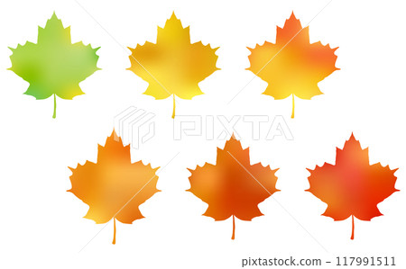 Seasonal changes in the color of maple leaves Seasonal changes in the color of maple leaves 117991511