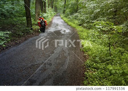 Winding bike path in a dense forest on a rainy day 117991536