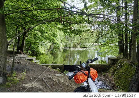 Front of a touring bicycle in front of a pond in a forest, bike tour through nature 117991537
