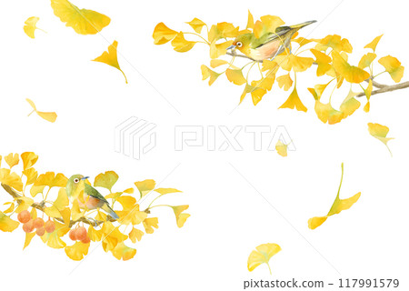 A watercolor illustration of yellow ginkgo trees and wild birds (Japanese white-eyes). The frame is decorated with ginkgo branches extending from both sides. A watercolor illustration of yellow ginkgo trees and wild birds (Japanese white-eyes). The frame is decorated with ginkgo branches extending from both sides. 117991579