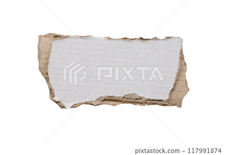 piece of white paper tear isolated on white background 117991874