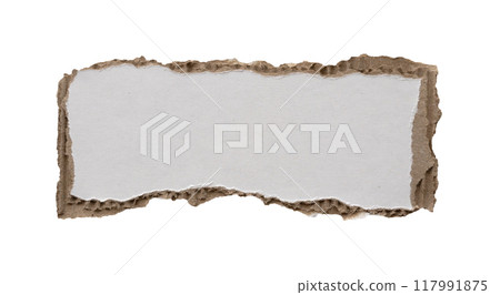 piece of white paper tear isolated on white background 117991875