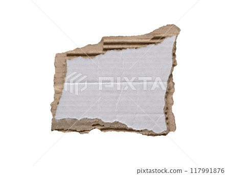 piece of white paper tear isolated on white background 117991876