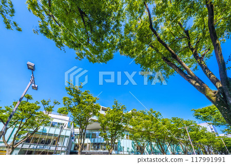 Tokyo cityscape in Japan - View of Omotesando in Jingumae, Shibuya Ward, Tokyo (August 3rd) Tokyo cityscape in Japan - View of Omotesando in Jingumae, Shibuya Ward, Tokyo (August 3rd) 117991991