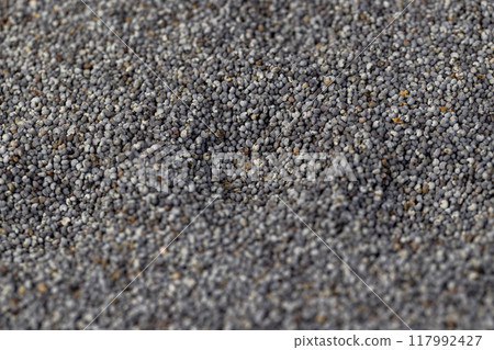 scattered poppy seeds for cooking scattered poppy seeds for cooking 117992427
