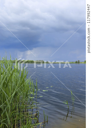 lake and trees on the shore before a storm lake and trees on the shore before a storm 117992447