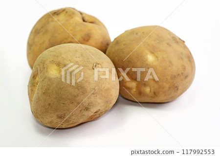 Potato (Toya) 117992553