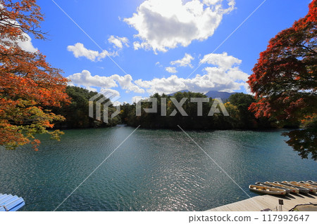 Urabandai Goshikinuma Lakes and Marshes Autumn leaves at Bishamon Marsh Urabandai Goshikinuma Lakes and Marshes Autumn leaves at Bishamon Marsh 117992647