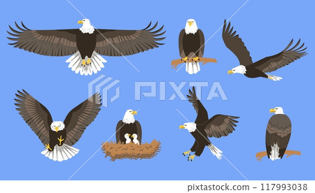 Vector illustrations on a blue background: a flying eagle, an eagle on a branch, a nest with chicks 117993038