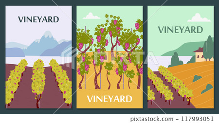 Set of postcards or flyers with vineyard fields flat style, vector illustration 117993051