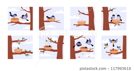 Bird nest life cycle vector illustration set Bird nest life cycle vector illustration set 117993618