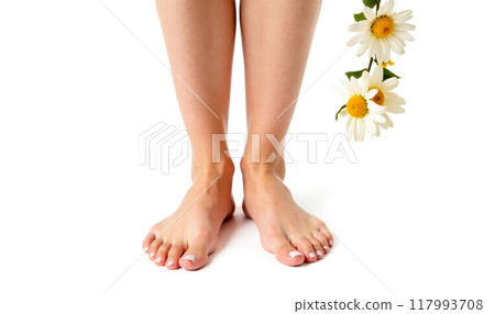 Female foot care and beauty with fresh daisies isolated on white background, pedicured toes in natural setting for wellness and personal grooming Female foot care and beauty with fresh daisies isolated on white background, pedicured toes in natural setting for wellness and personal grooming 117993708