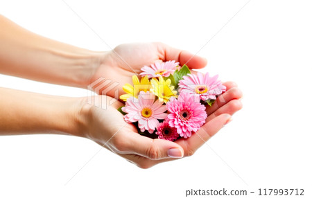 Natural hand cream advertisement with colorful daisies in female hands on white background, skin care product promotion with fresh flowers, beauty and wellness concept 117993712