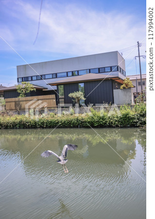 the bird of heron at the Yanagawa crane the bird of heron at the Yanagawa crane 117994002