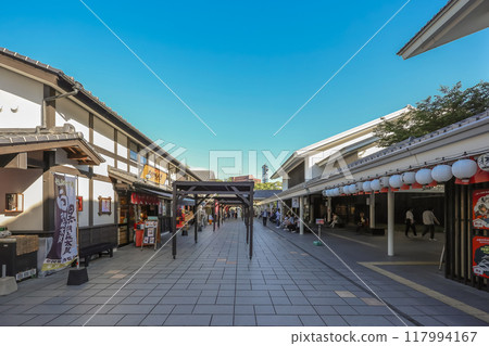 Sakura no baba Josaien, Preserving the Spirit of Historic Saga May 17 2024 117994167