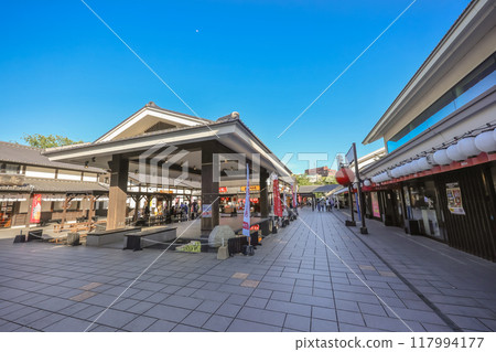 Sakura no baba Josaien, Preserving the Spirit of Historic Saga May 17 2024 117994177