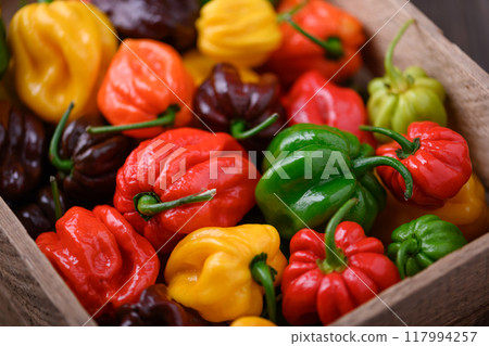 Ripened multi-colored habanero peppers in wooden box 117994257
