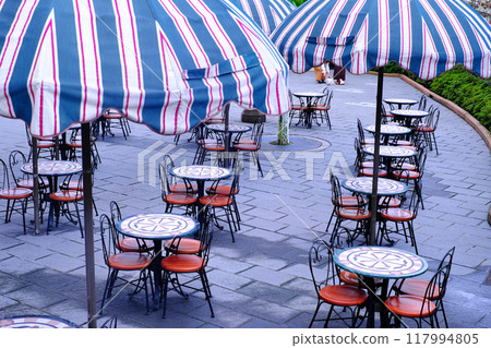outdoor table and chairs 117994805