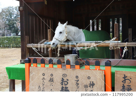 上賀茂神社 上賀茂神社 京都 上賀茂神社 上賀茂神社 京都 117995200