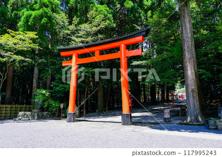 From the third torii gate to the worship hall, Kirishima Shrine (Kirishima City, Kagoshima Prefecture) From the third torii gate to the worship hall, Kirishima Shrine (Kirishima City, Kagoshima Prefecture) 117995243