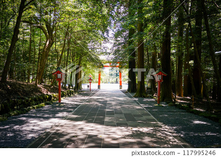 三鳥居霧島神社(鹿兒島縣霧島市) 三鳥居霧島神社(鹿兒島縣霧島市) 117995246
