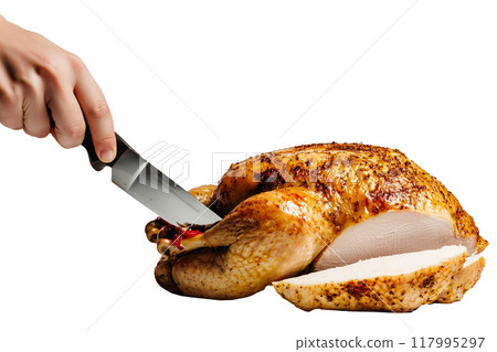 Carving whole roasted turkey or chicken isolated on white transparent background. Concept of food for Thanksgiving Day 117995297