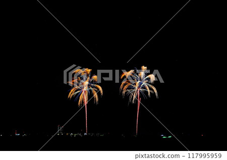 2024年（第19屆）古河花火大會 茨城縣古河市 117995959
