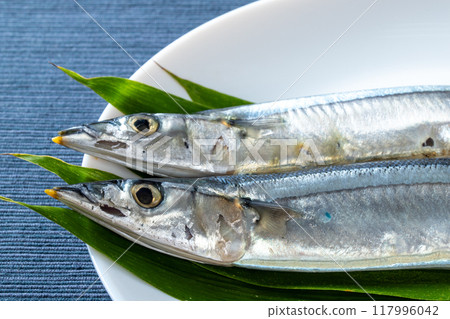 秋刀魚 117996042