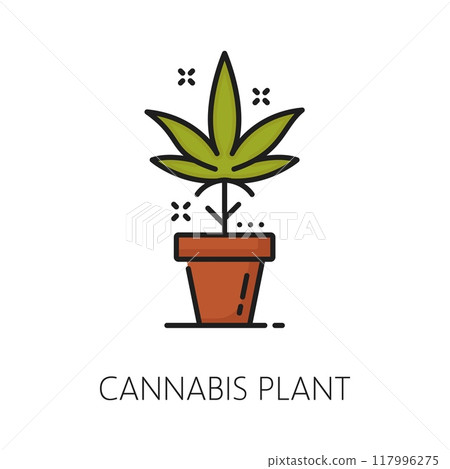 Medical cannabis seedling plant color line icon. Medical marijuana drug linear sign, natural CBD shop or medicine cannabis product line vector icon or pictogram with marijuana plant in pot Medical cannabis seedling plant color line icon. Medical marijuana drug linear sign, natural CBD shop or medicine cannabis product line vector icon or pictogram with marijuana plant in pot 117996275