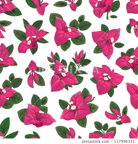 Bougainvillea flowers pattern or pink floral background, seamless vector. Bougainvillea flowers pattern with pink blossom petals and green leaves in textile print style of tropical floral ornament Bougainvillea flowers pattern or pink floral background, seamless vector. Bougainvillea flowers pattern with pink blossom petals and green leaves in textile print style of tropical floral ornament 117996331