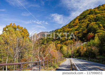 Autumn leaves at Hirayu Onsen in the Okuhida Onsen area Autumn leaves at Hirayu Onsen in the Okuhida Onsen area 117996651