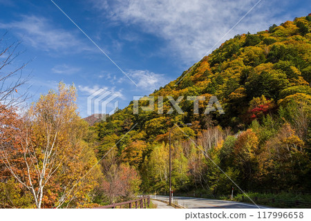 Autumn leaves at Hirayu Onsen in the Okuhida Onsen area Autumn leaves at Hirayu Onsen in the Okuhida Onsen area 117996658