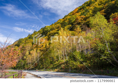 Autumn leaves at Hirayu Onsen in the Okuhida Onsen area Autumn leaves at Hirayu Onsen in the Okuhida Onsen area 117996661