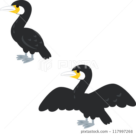 鸕鶿站立並展開翅膀 117997268