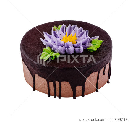 Chocolate cake dripping with chocolate icing decorated with buttercream flower 117997323
