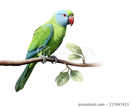 Image of an alexandrine parakeet on a branch on white background. Bird. Wildlife Animals. Illustration, Generative AI. 117997423