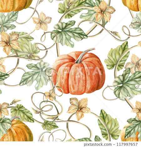 Seamless pattern with pumpkin and leaves on white background. Watercolor harvest illustration for farm organic products design, agricultural fairs and exhibitions 117997657