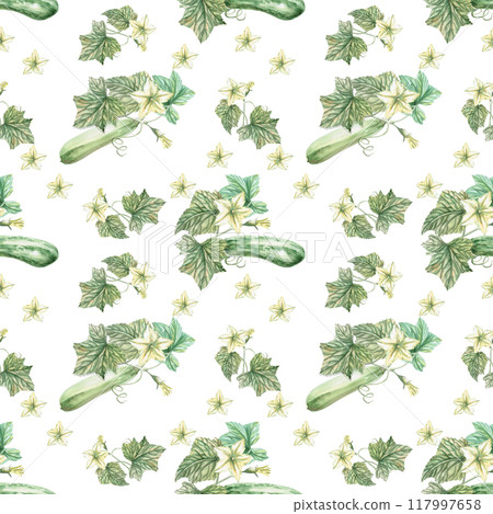 Zucchini with leaves and flowers on a white background. Watercolor illustration on the theme of harvesting for decoration at the fair, labels for preservation, printing on fabric, packaging, cookbooks 117997658