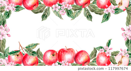 Rectangular frame closed with red apples on foliage background. Isolated watercolor illustration for farm fruit design, agricultural fairs, organic product packaging 117997674