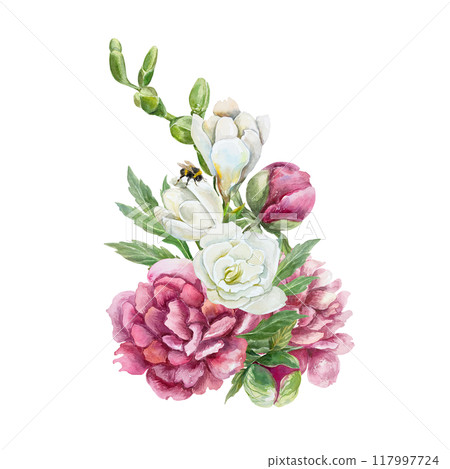 Peonies, freesia and bumblebee. Beautiful bouquet of burgundy and white flowers. Hand drawn watercolor illustration isolated on white. For birthday cards, wedding invitations, covers, labels, posters. Peonies, freesia and bumblebee. Beautiful bouquet of burgundy and white flowers. Hand drawn watercolor illustration isolated on white. For birthday cards, wedding invitations, covers, labels, posters. 117997724