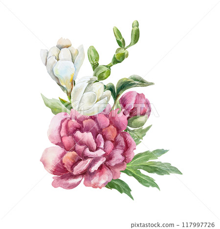 Bouquet of peonies and freesias. Beautiful burgundy and white flowers. Hand drawn watercolor illustration isolated on white. For birthday greeting cards, wedding invitations, covers, labels, posters. 117997726