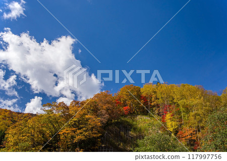 Autumn leaves at Hirayu Onsen in the Okuhida Onsen area 117997756