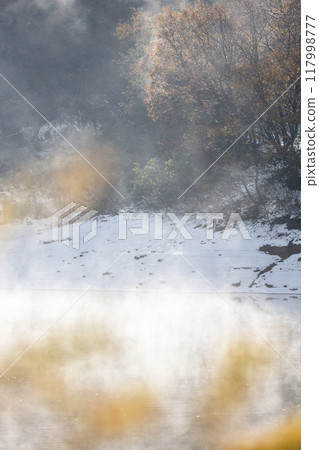 秋天的樹葉和薄霧覆蓋著新雪的森林 117998777