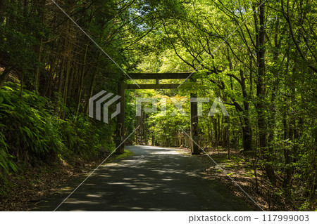 The second torii gate of Ama-no-Iwato in Isobe-cho, Shima City, Mie Prefecture 117999003