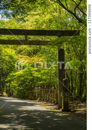 The second torii gate of Ama-no-Iwato in Isobe-cho, Shima City, Mie Prefecture The second torii gate of Ama-no-Iwato in Isobe-cho, Shima City, Mie Prefecture 117999006