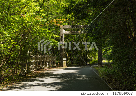 The second torii gate of Ama-no-Iwato in Isobe-cho, Shima City, Mie Prefecture 117999008